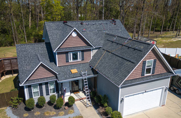 istockphoto 2159416425 612x612